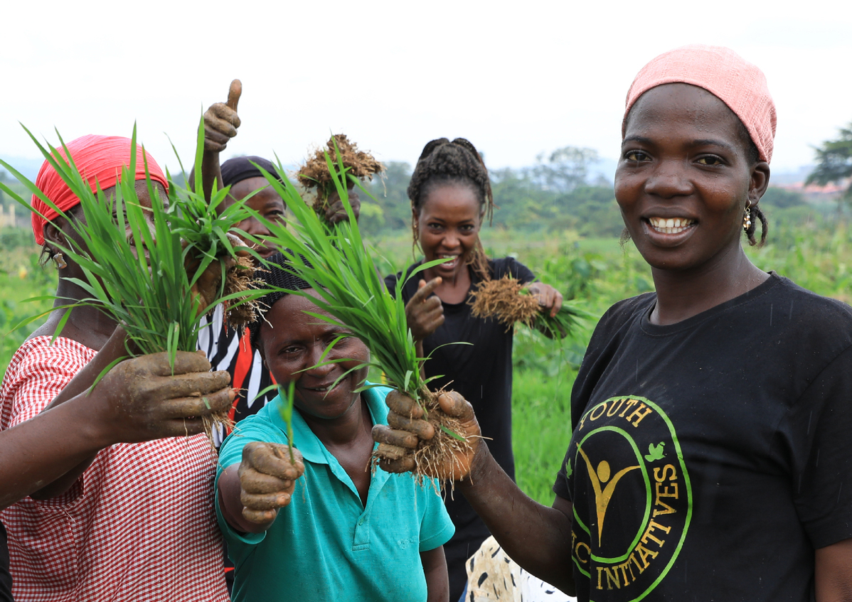Staff members who work at the Nigerian Agricultural Technology Demonstration Center near Abuja, the capital of the West African country show rice seedlings to the camera, Sep 19, 2023. [Photo/Xinhua]
