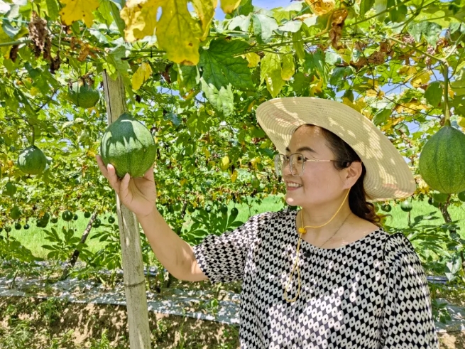 李瑛，宁乡市人大代表、宁乡市顶芋农业专业合作社负责人。