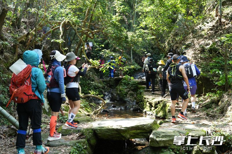 近日，一群户外爱好者在潇湘步道主线浏阳美人谷至龙王庙路段徒步。长沙晚报通讯员 王伟 摄