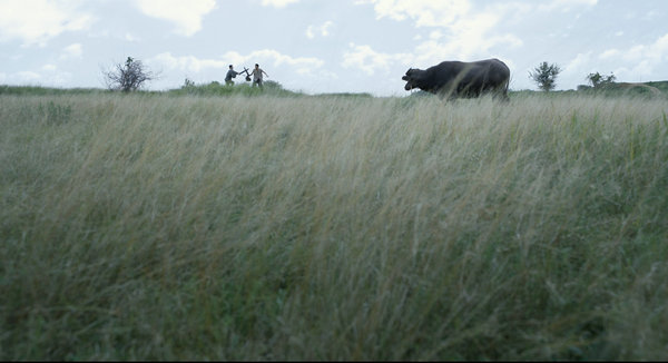 A scene in the movie. [Photo provided to chinadaily.com.cn]
