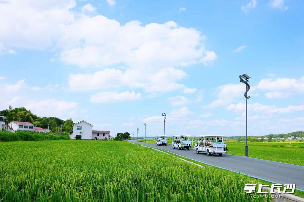 农田变景观。