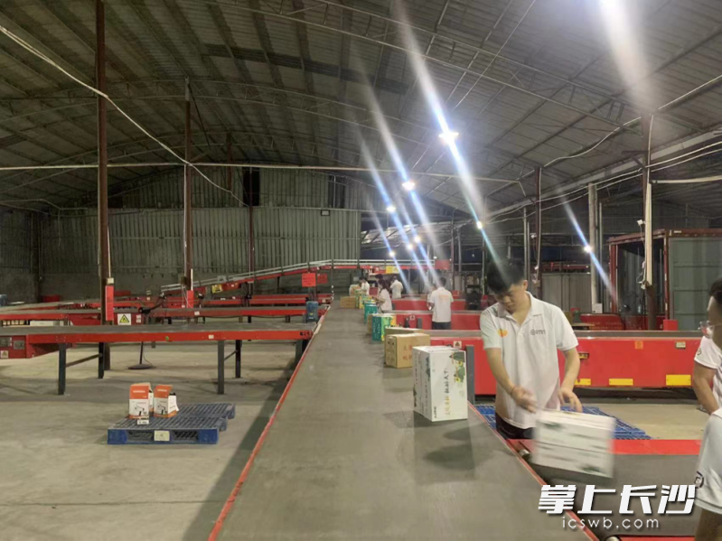 今年，顺丰在炎陵县设立了867个揽收点。均为通讯员 杨倩 供图