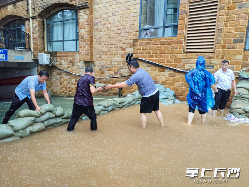 嘉和社区党员干部配合物业工作人员迅速搭建防汛沙袋墙。