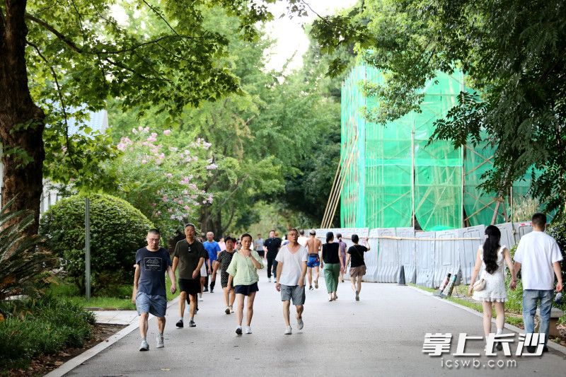 绕年嘉湖步道恢复正常通行。均为长沙晚报全媒体记者 贺文兵 摄
