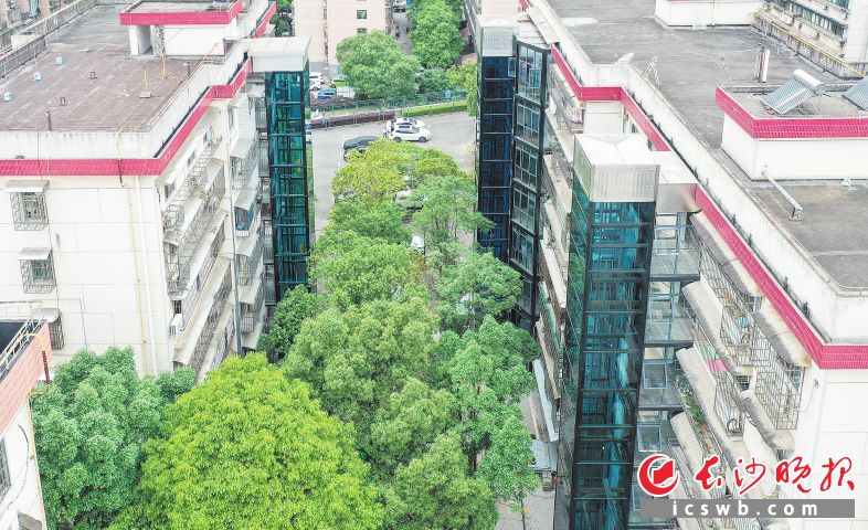 岳麓区机关金星住宅小区实现了电梯加装和使用。 岳麓区机关金星住宅小区实现了电梯加装和使用。