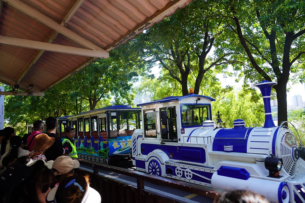Visitors take a touring mini train on the Orange Island in Changsha, Hunan province, Aug 3, 2024. [Photo/VCG]
