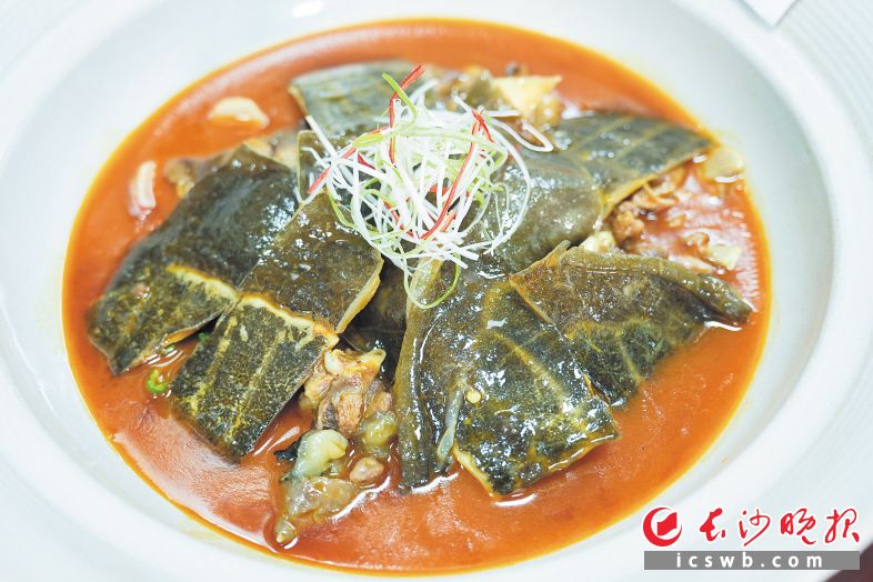 红煨甲鱼。均为长沙晚报全媒体记者 邹麟 摄