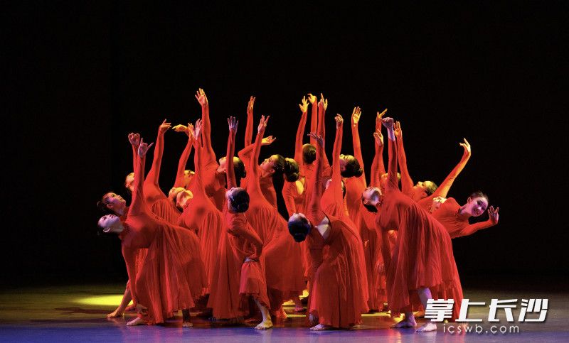 舞蹈团学员们表演的《像花儿一样》，在舞蹈中融入了情境表演和思想表达。