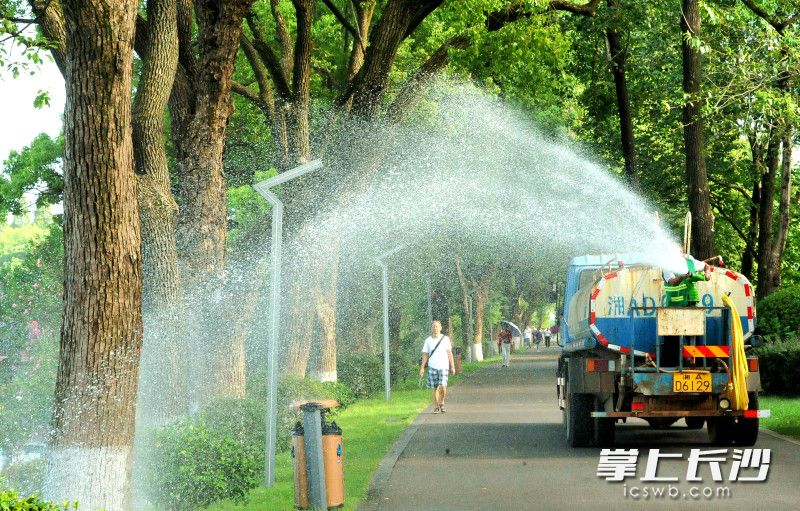 今日上午，湖南烈士公园园林工人在给花草树木施水。  均为长沙晚报全媒体记者贺文兵摄