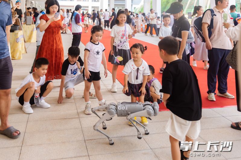 机器狗，真好玩！