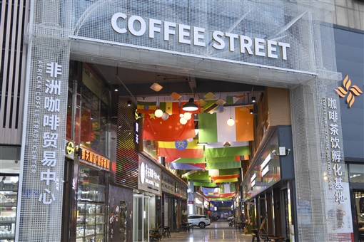Photo shows a street where African coffee is traded in the Gaoqiao Grand Market in Changsha, central China's Hunan Province. (Photo/Hunan Daily)