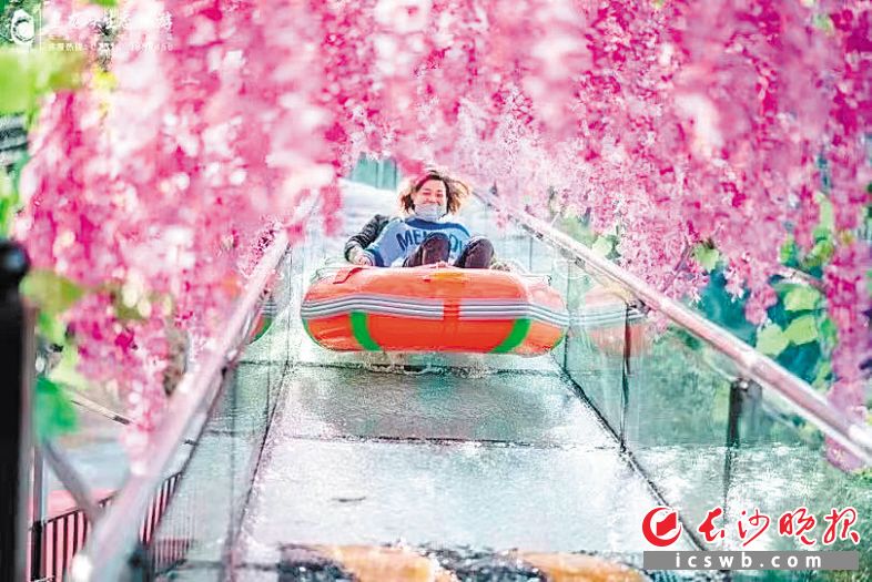 今夏，浏阳“清凉经济”火热出圈。