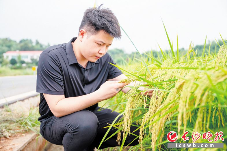 Changsha Evening News/Deng Di