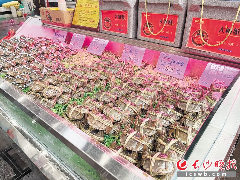 　　目前，大闸蟹大量上市，交易量大幅上升，整体价格呈下降趋势。 长沙晚报全媒体记者 刘捷萍 摄