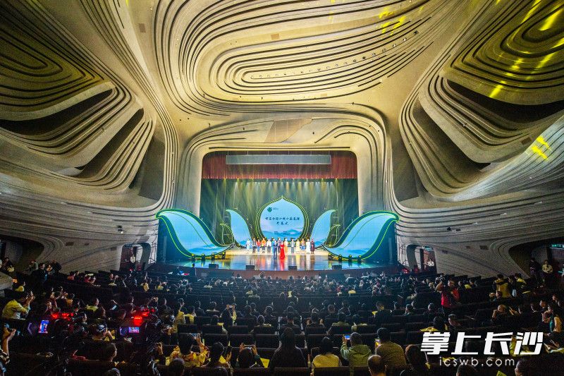 Photo by Guo Yudi from Changsha Evening News.