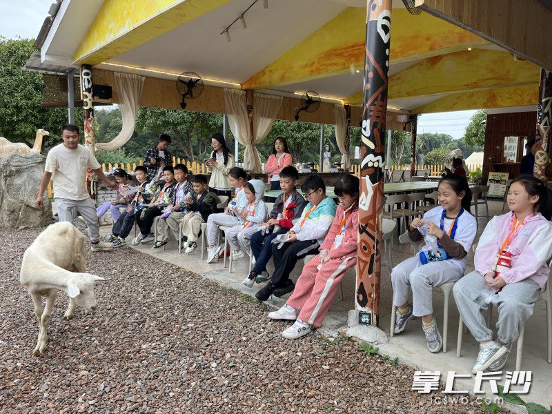 Photo by Liu Xiaomin from Changsha Evening News.