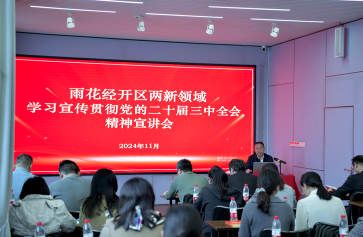雨花经开区两新领域学习宣传贯彻党的二十届三中全会精神宣讲会现场。 雨花经开区两新领域学习宣传贯彻党的二十届三中全会精神宣讲会现场。