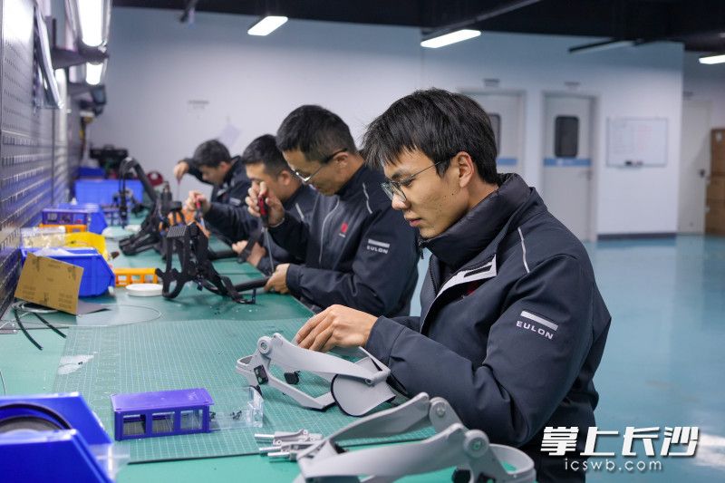 Photo by He Wenrui from Changsha Evening News.