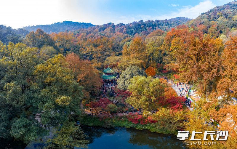 Photo by Chen Fei from Changsha Evening News.