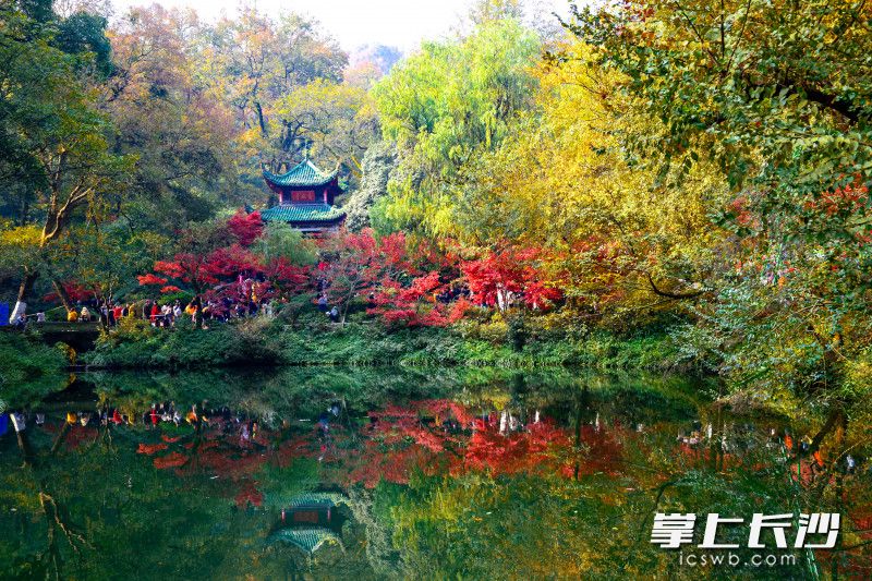 Photo by Chen Fei from Changsha Evening News.