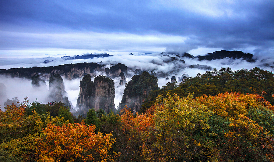 Autumn spreads its colors through Huangshizhai in Zhangjiajie National Forest Park in Hunan province. [Photo provided to chinadaily.com.cn]