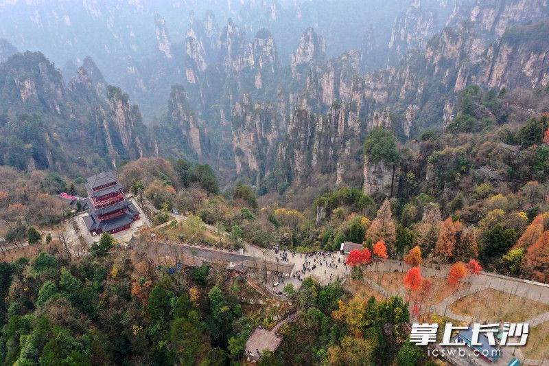 Photo by Wang Zhiwei from Changsha Evening News.