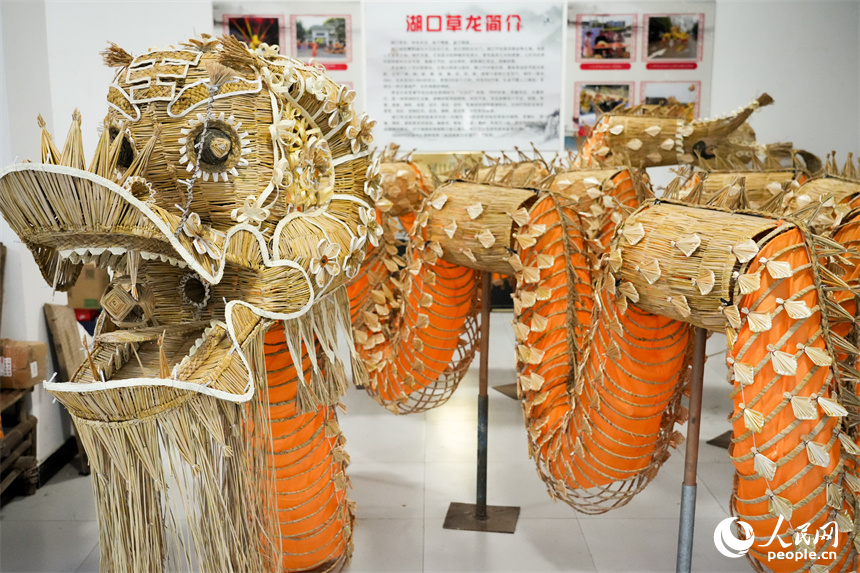 Photo shows a 27.8-meter-long straw dragon created by Yu Fangze, an inheritor of the national intangible cultural heritage craft of weaving straw dragons, in Hukou county, east China's Jiangxi Province. (People's Daily Online/Kong Wenjin)