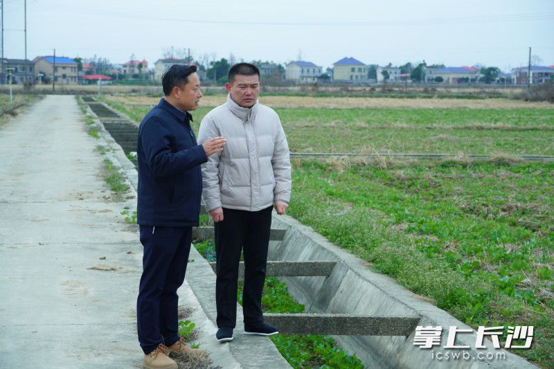 虢代勤正向市农业技术推广中心副主任王少希讨教种植经验。长沙晚报全媒体记者 祝林灿 摄 虢代勤正向市农业技术推广中心副主任王少希讨教种植经验。长沙晚报全媒体记者 祝林灿 摄