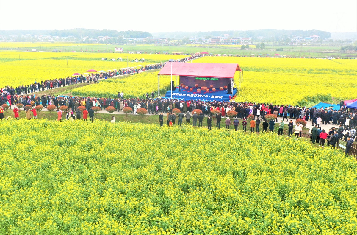 The Rape Flower Fields Gourmet Culture Festival in Chenjiaqiao Village. Photo provided by Zhang Yu.