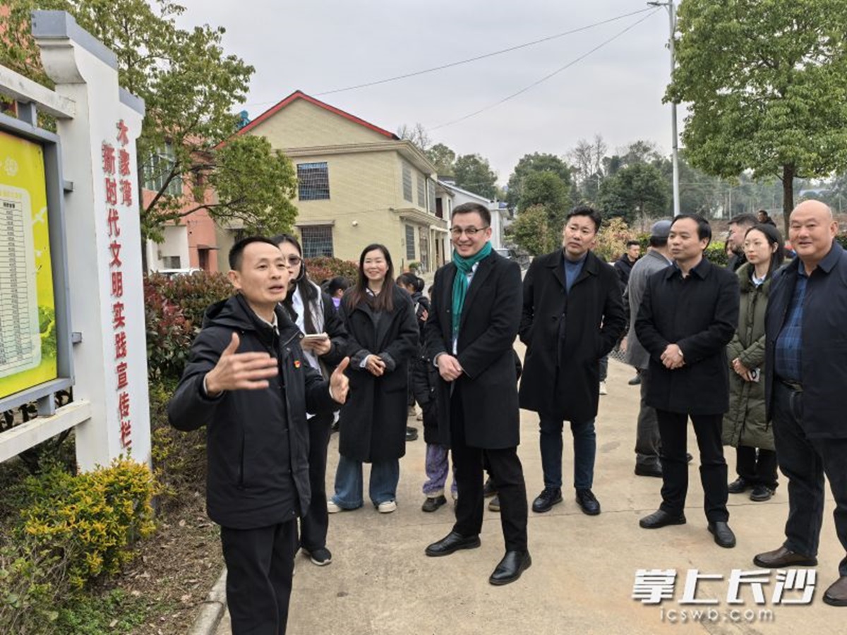The delegation of the Mongolian People's Party visited Chenjiaqiao Village in Ningxiang, Changsha. Photo provided by Zhang Yu.