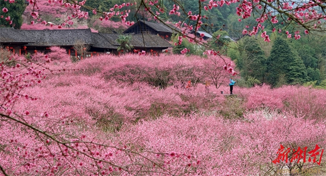 Photo/Gong Gaoxiang