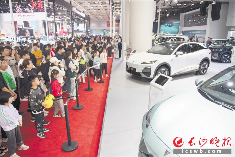 2024湖南车展人潮涌动。 长沙晚报全媒体记者 黄启晴 摄