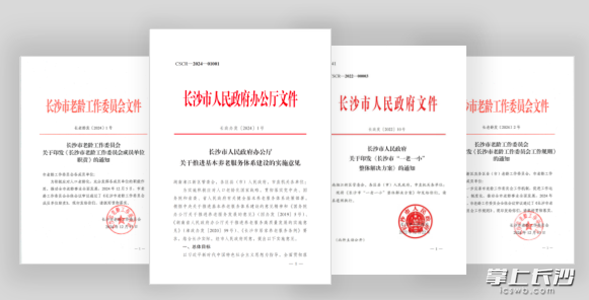 长沙出台系列涉老政策措施。