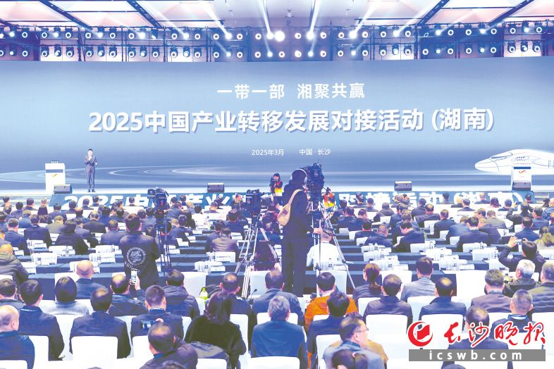 开幕式现场。 均为长沙晚报全媒体记者 王志伟 摄