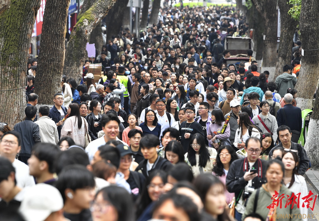 岳麓山游客众多。湖南日报全媒体记者 童迪 摄