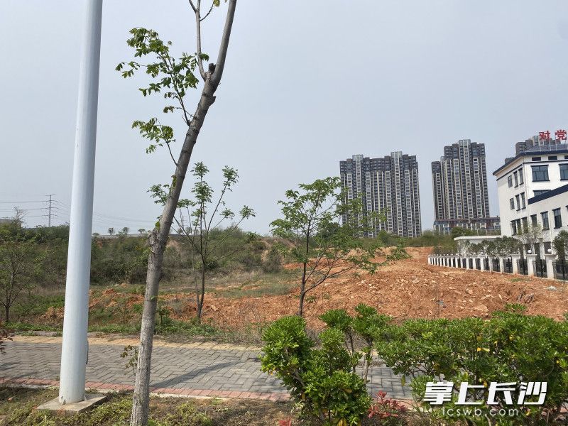 “云起中学”将在这里建起。长沙晚报全媒体记者 黎铁桥 摄