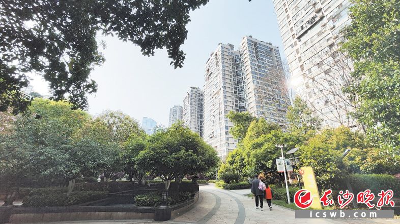 景秀江山家园小区（三期），业主对物业的满意度从20％提高到95％以上。长沙晚报全媒体记者 孙占锋 摄