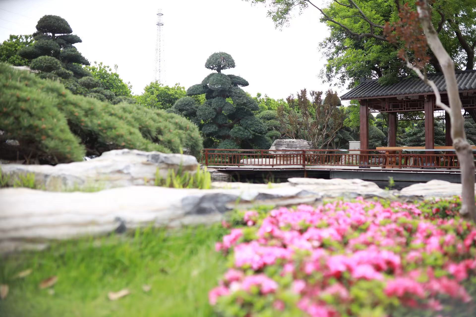 柏加镇在南横线“花木走廊”沿线已密集布局10多个精品园林示范园，这些风格各异并配套特色餐饮、民宿的园林受到游客追捧。受访者供图