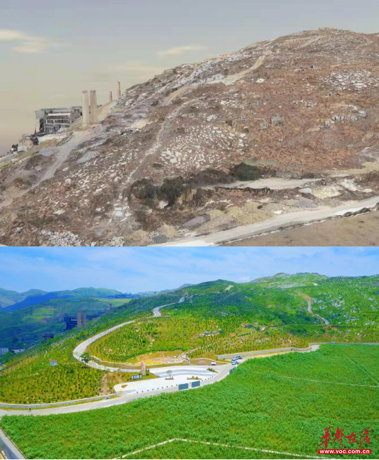 Comparison pictures before and after ecological restoration.