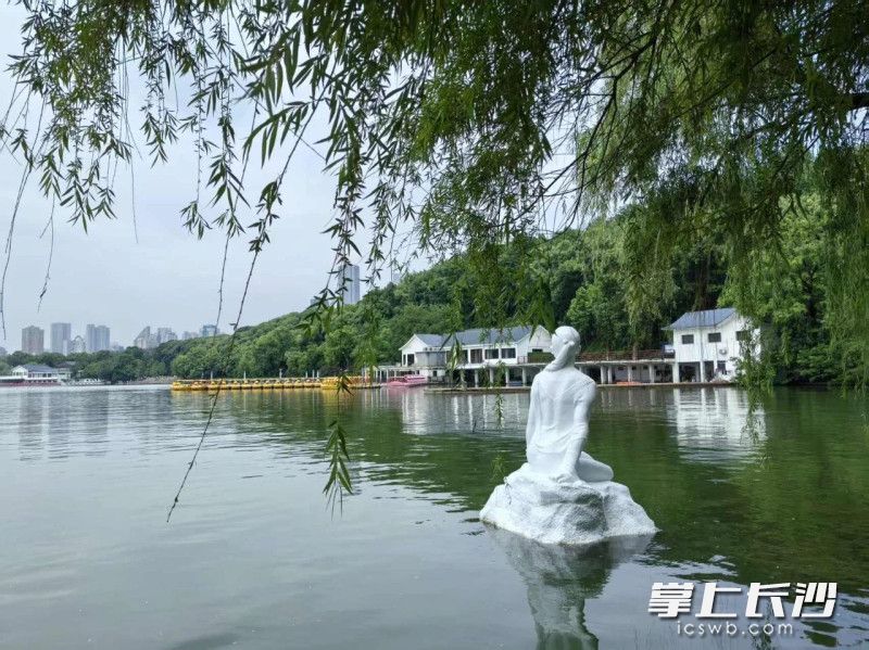 年嘉湖标志性雕塑《夏》。 均为通讯员供图