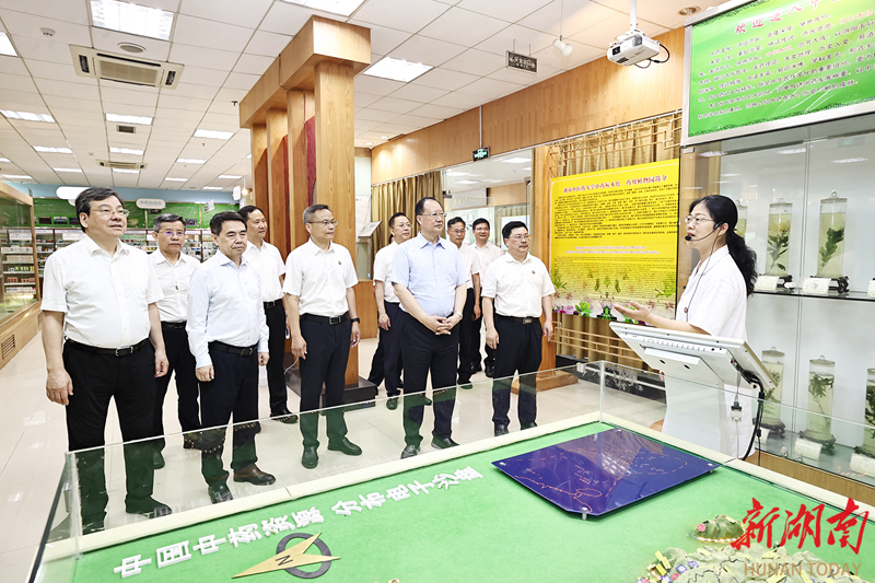 毛伟明在湖南中医药大学调研。图片均由湖南日报全媒体记者 刘尚文 摄