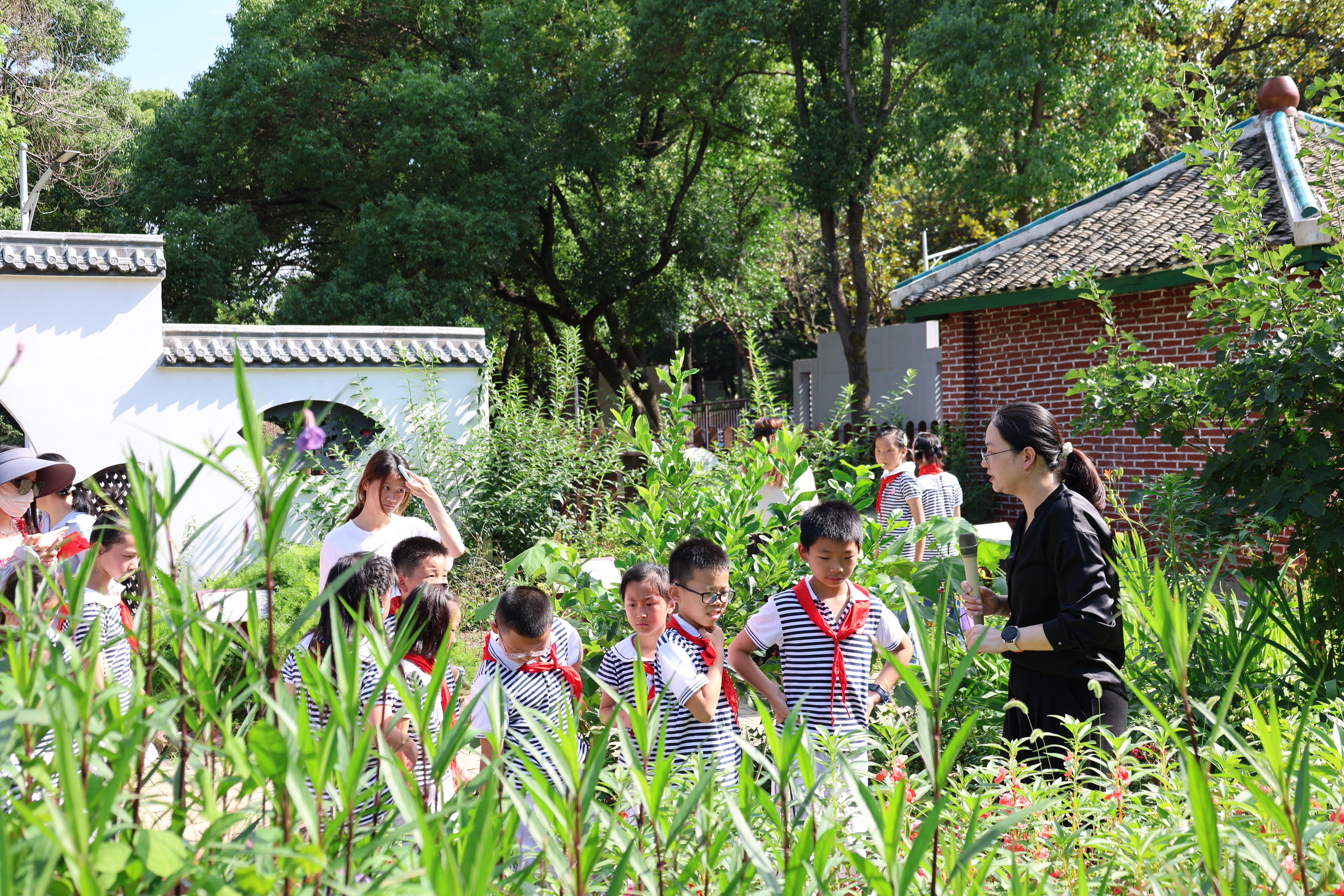 孩子们来到本草园展开趣味科普课堂，老师引导孩子们通过看、闻、摸，零距离辨识艾草、薄荷、金银花等中草药。