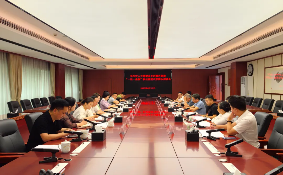 会议现场 会议现场