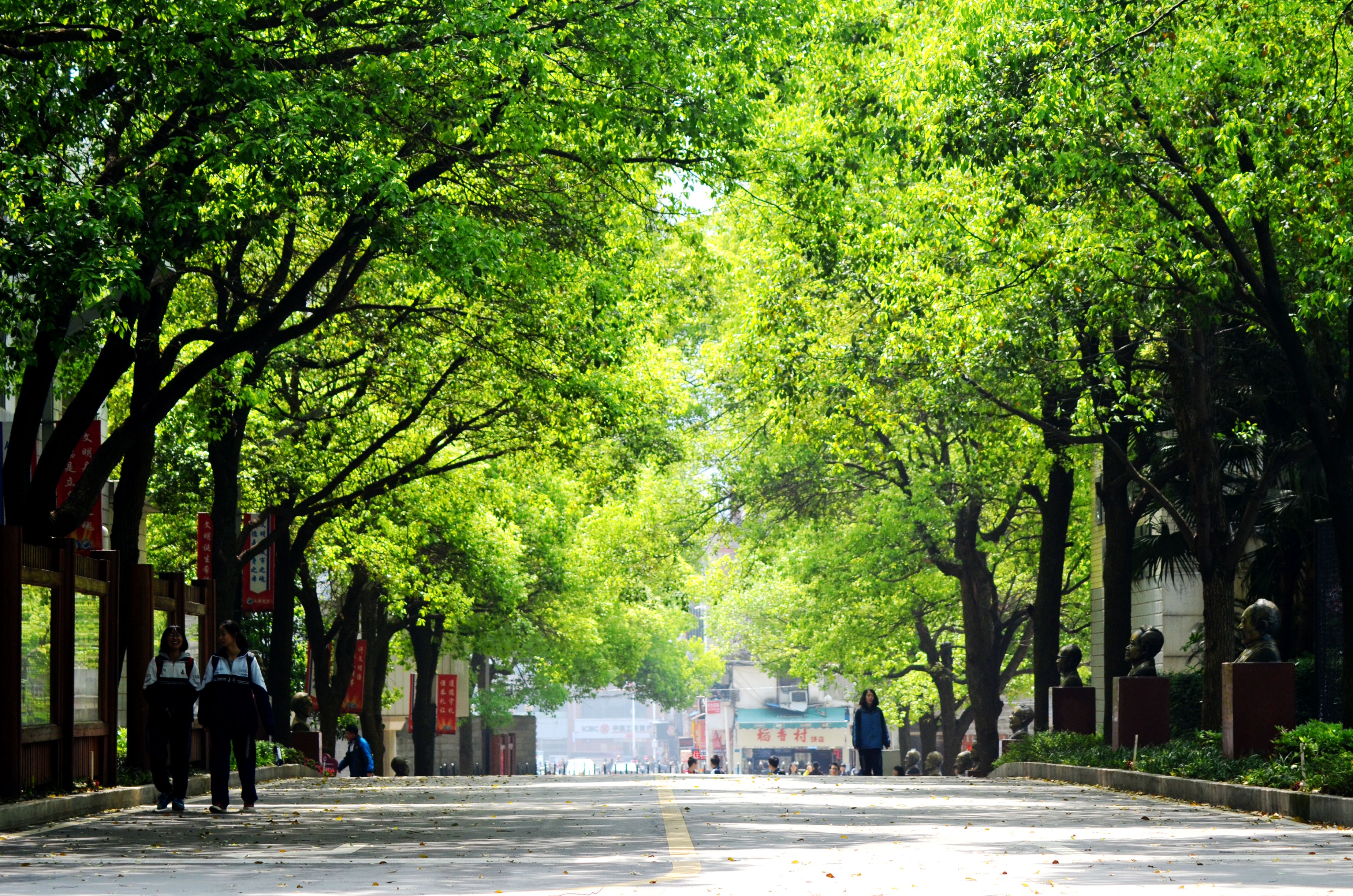 长郡中学院士路