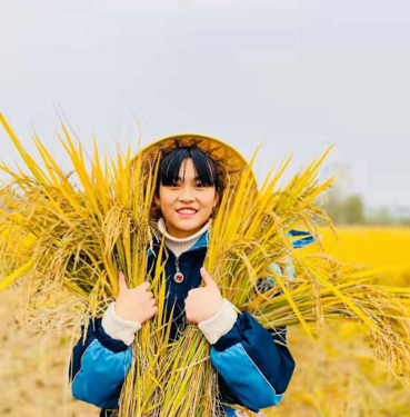 学生参加劳动体验。
