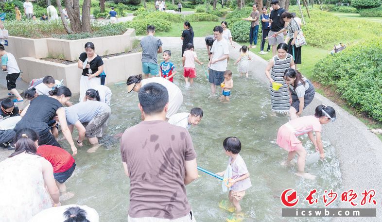 孩子们在小区中央旱溪区的浅水中开心捉鱼,欢笑声此起彼伏。 长沙晚报全媒体记者 周数邑 冯启阳 摄影报道 孩子们在小区中央旱溪区的浅水中开心捉鱼,欢笑声此起彼伏。 长沙晚报全媒体记者 周数邑 冯启阳 摄影报道