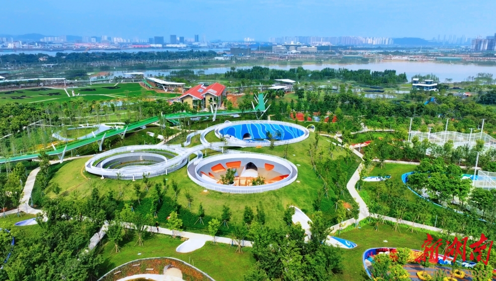 大泽湖近自然湿地公园。