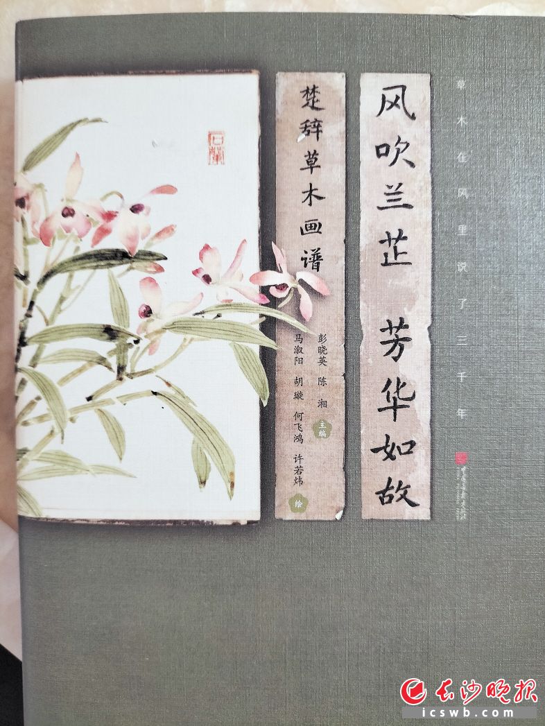 　　《风吹兰芷 芳华如故：楚辞草木画谱》/彭晓英、陈湘 主编 马溆阳、胡璇、何飞鸿、许若炜 绘/中国画报出版社/2025年6月