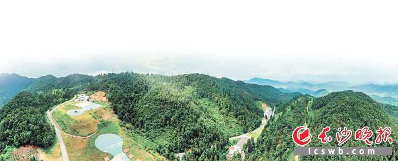 青羊湖国有林场城大分部和月山相伴相生，山顶建有直升机场并驻守多架直升机，以保障这个大型省级林场的防火需要。