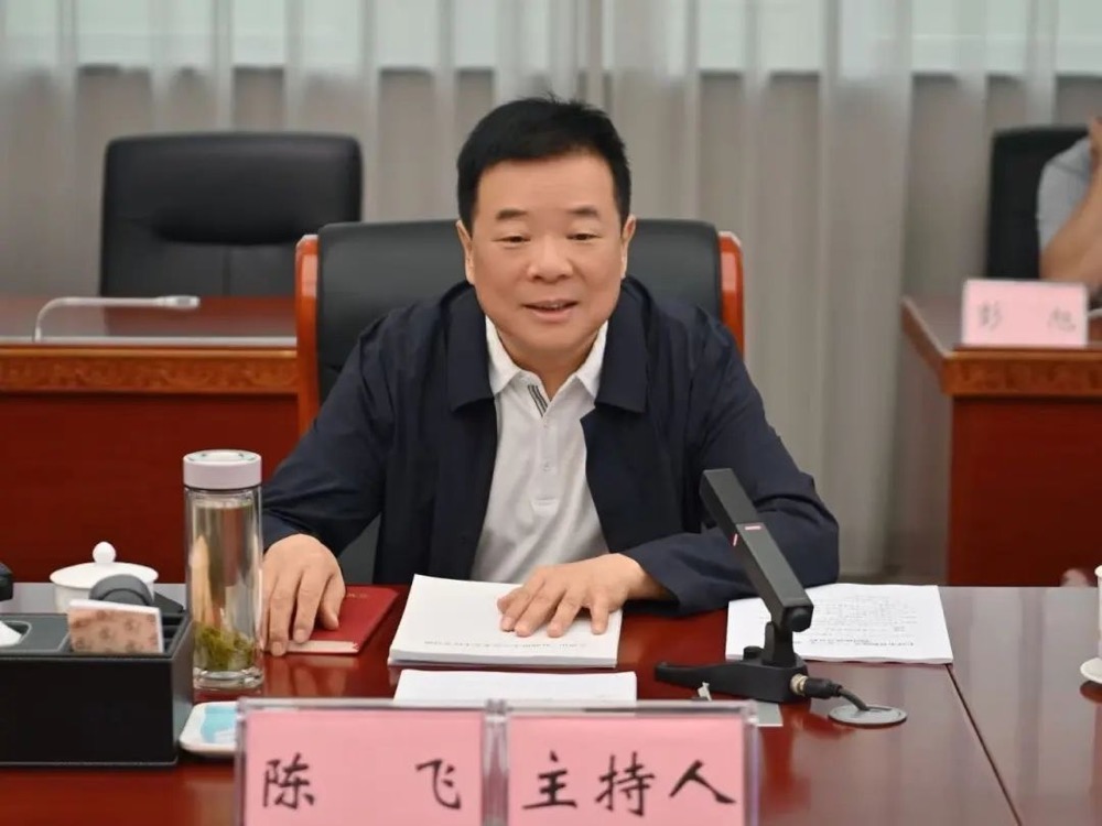 省人大常委会副主任陈飞在座谈会上讲话。